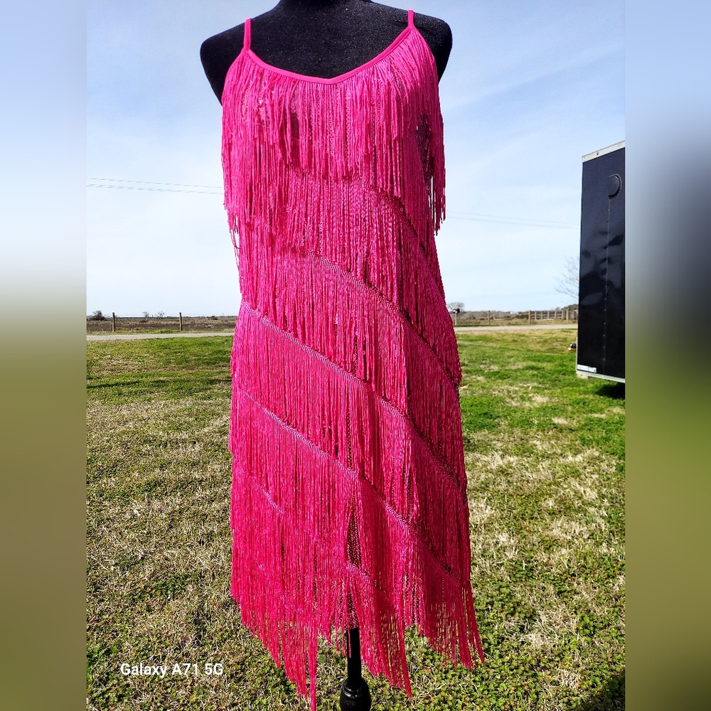 Mainstream brand Magenta Fringe dress